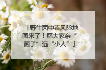 野生菌中毒风险地图来了！愿大家亲“菌子”远“小人”