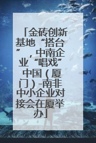 金砖创新基地“搭台”，中南企业“唱戏” 中国（厦门）-南非中小企业对接会在厦举办