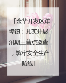 金华开发区洋埠镇：扎实开展汛期三普点巡查，筑牢安全生产防线