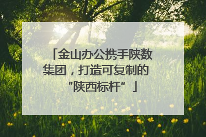 金山办公携手陕数集团，打造可复制的“陕西标杆”