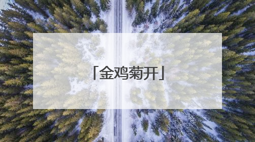金鸡菊开