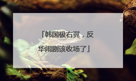韩国极右翼，反华闹剧该收场了