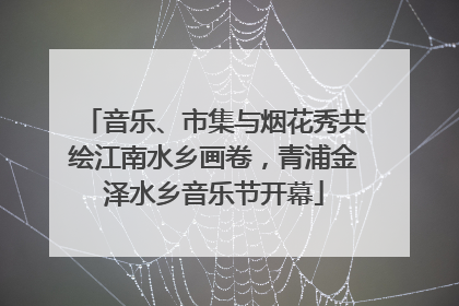 音乐、市集与烟花秀共绘江南水乡画卷，青浦金泽水乡音乐节开幕