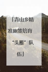 青山乡精准施策培育“头雁”队伍