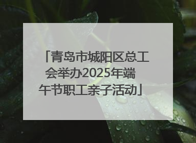 青岛市城阳区总工会举办2025年端午节职工亲子活动