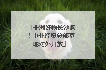 非洲好物长沙购！中非经贸总部基地对外开放