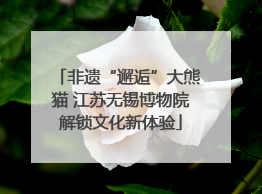 非遗“邂逅”大熊猫 江苏无锡博物院解锁文化新体验