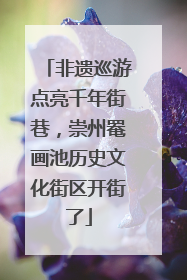 非遗巡游点亮千年街巷，崇州罨画池历史文化街区开街了