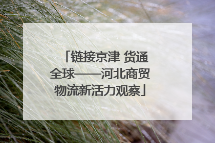 链接京津 货通全球——河北商贸物流新活力观察