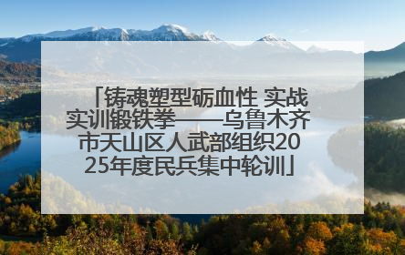 铸魂塑型砺血性 实战实训锻铁拳——乌鲁木齐市天山区人武部组织2025年度民兵集中轮训