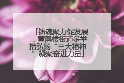 铸魂聚力促发展，黄鹤楼街道多举措弘扬“三大精神”凝聚奋进力量
