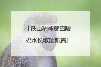 铁山精神耀巴陵 碧水长歌颂新篇