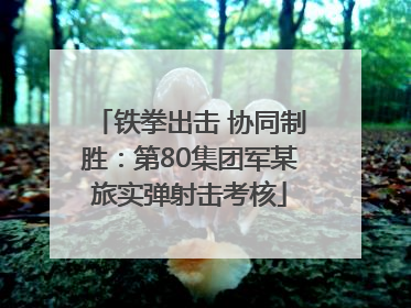 铁拳出击 协同制胜：第80集团军某旅实弹射击考核