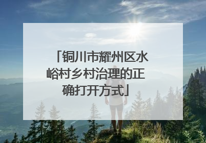 铜川市耀州区水峪村乡村治理的正确打开方式