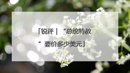 锐评｜“总统特赦”要价多少美元