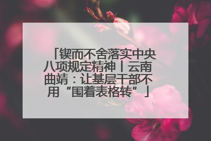 锲而不舍落实中央八项规定精神丨云南曲靖：让基层干部不用“围着表格转”