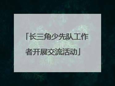 长三角少先队工作者开展交流活动