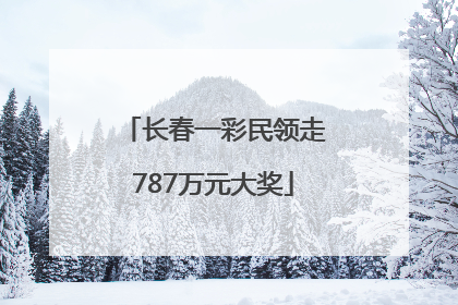长春一彩民领走787万元大奖