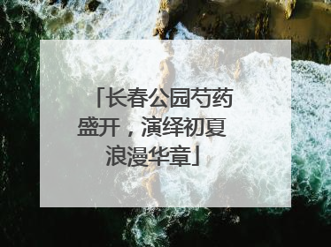长春公园芍药盛开，演绎初夏浪漫华章