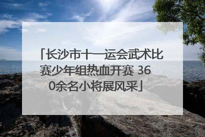 长沙市十一运会武术比赛少年组热血开赛 360余名小将展风采