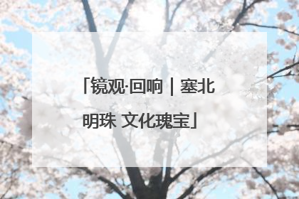 镜观·回响｜塞北明珠 文化瑰宝