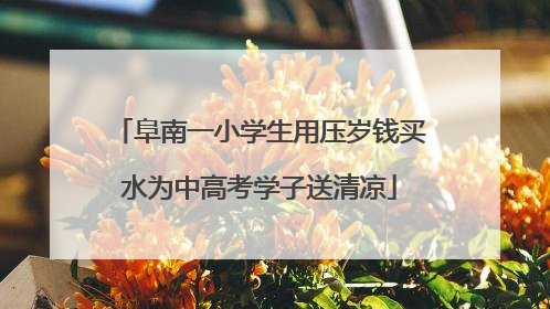 阜南一小学生用压岁钱买水为中高考学子送清凉