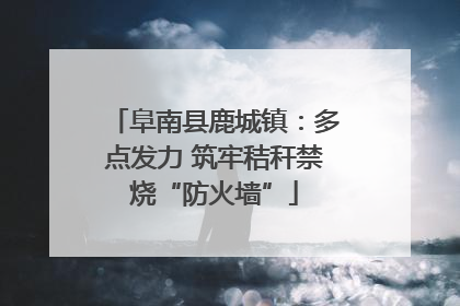 阜南县鹿城镇：多点发力 筑牢秸秆禁烧“防火墙”