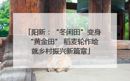 阳新：“冬闲田”变身“黄金田” 稻麦轮作绘就乡村振兴新篇章