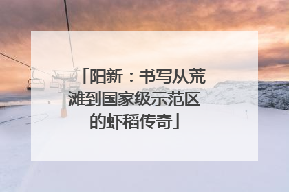 阳新：书写从荒滩到国家级示范区的虾稻传奇