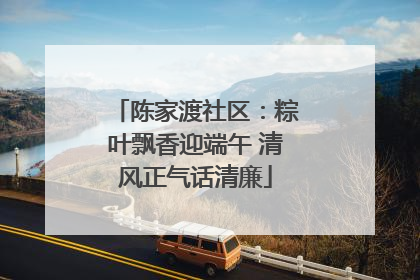 陈家渡社区:粽叶飘香迎端午 清风正气话清廉