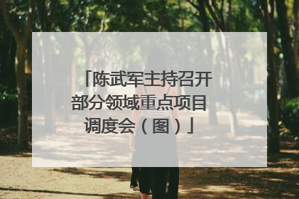 陈武军主持召开部分领域重点项目调度会（图）