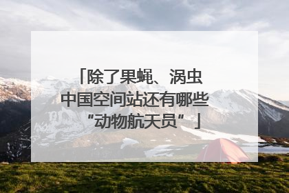 除了果蝇、涡虫 中国空间站还有哪些“动物航天员”