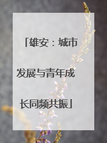 雄安：城市发展与青年成长同频共振