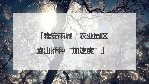 雅安雨城：农业园区跑出播种“加速度”