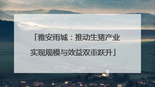 雅安雨城：推动生猪产业实现规模与效益双重跃升