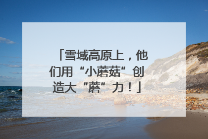雪域高原上，他们用“小蘑菇”创造大“蘑”力！