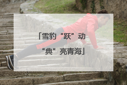 雪豹“跃”动 “典”亮青海