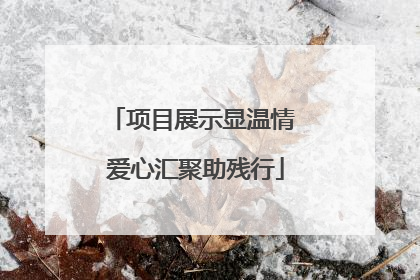 项目展示显温情 爱心汇聚助残行