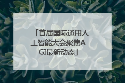 首届国际通用人工智能大会聚焦AGI最新动态