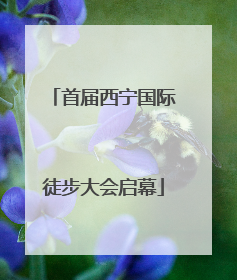 首届西宁国际徒步大会启幕