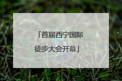 首届西宁国际徒步大会开幕