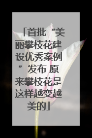 首批“美丽攀枝花建设优秀案例”发布 原来攀枝花是这样越变越美的