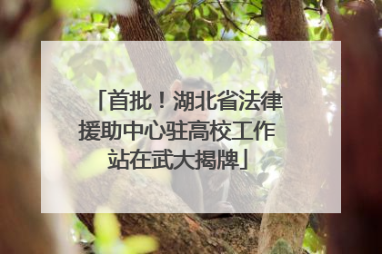 首批！湖北省法律援助中心驻高校工作站在武大揭牌