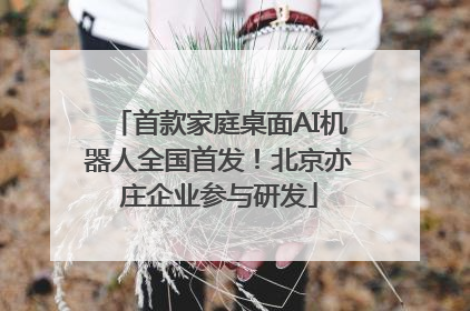 首款家庭桌面AI机器人全国首发！北京亦庄企业参与研发
