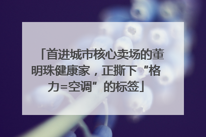 首进城市核心卖场的董明珠健康家，正撕下“格力=空调”的标签