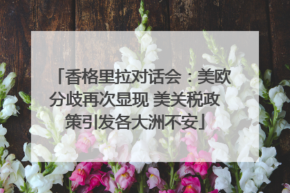 香格里拉对话会：美欧分歧再次显现 美关税政策引发各大洲不安