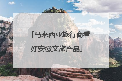 马来西亚旅行商看好安徽文旅产品