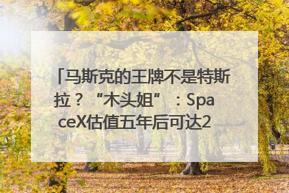 马斯克的王牌不是特斯拉？“木头姐”：SpaceX估值五年后可达2.5万亿美元！