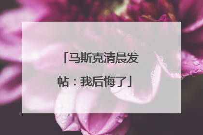 马斯克清晨发帖：我后悔了