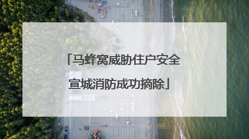 马蜂窝威胁住户安全 宣城消防成功摘除